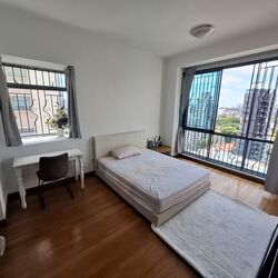 Twin Heights (D12), Apartment #495781491